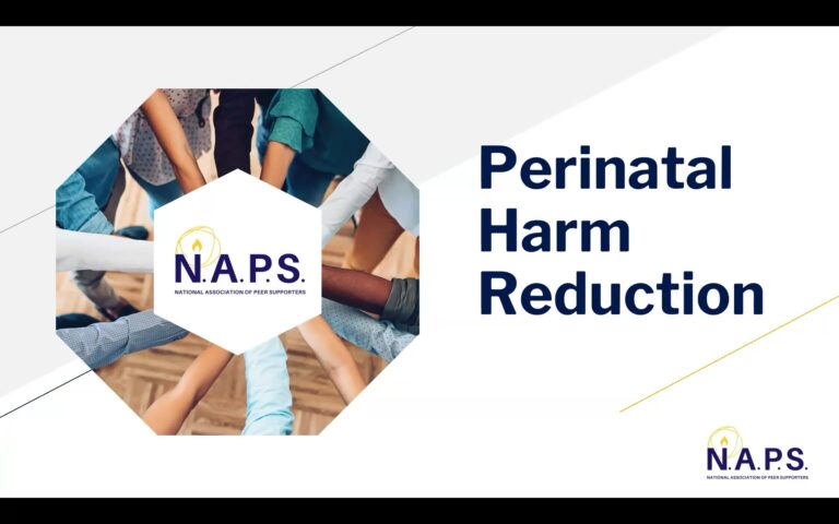 Perinatal Harm Reduction